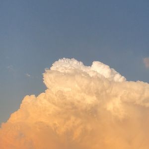 Meet your Posher, Stephon